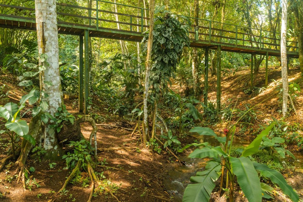 La Fortuna Natural Green Exterior foto