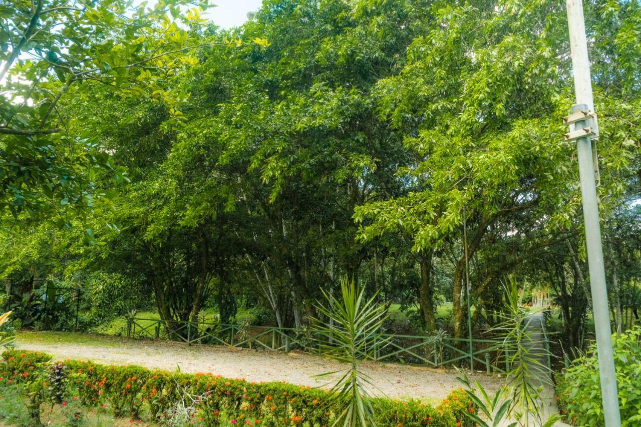 La Fortuna Natural Green Exterior foto